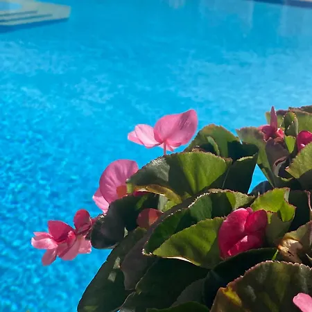 Paradiso Hotel Sea View And Pool Suites Ipsos Corfu Exterior photo