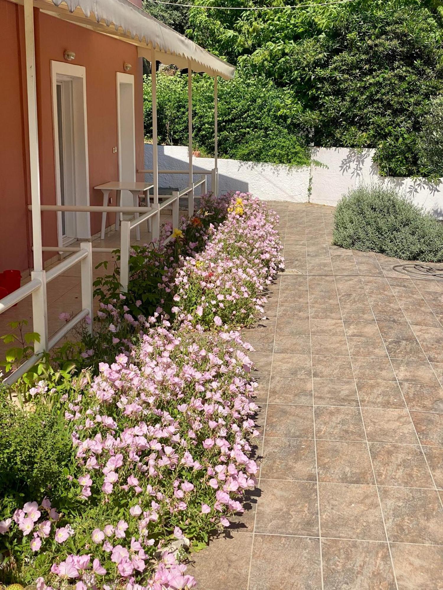 Paradiso Apartahotel Ypsos