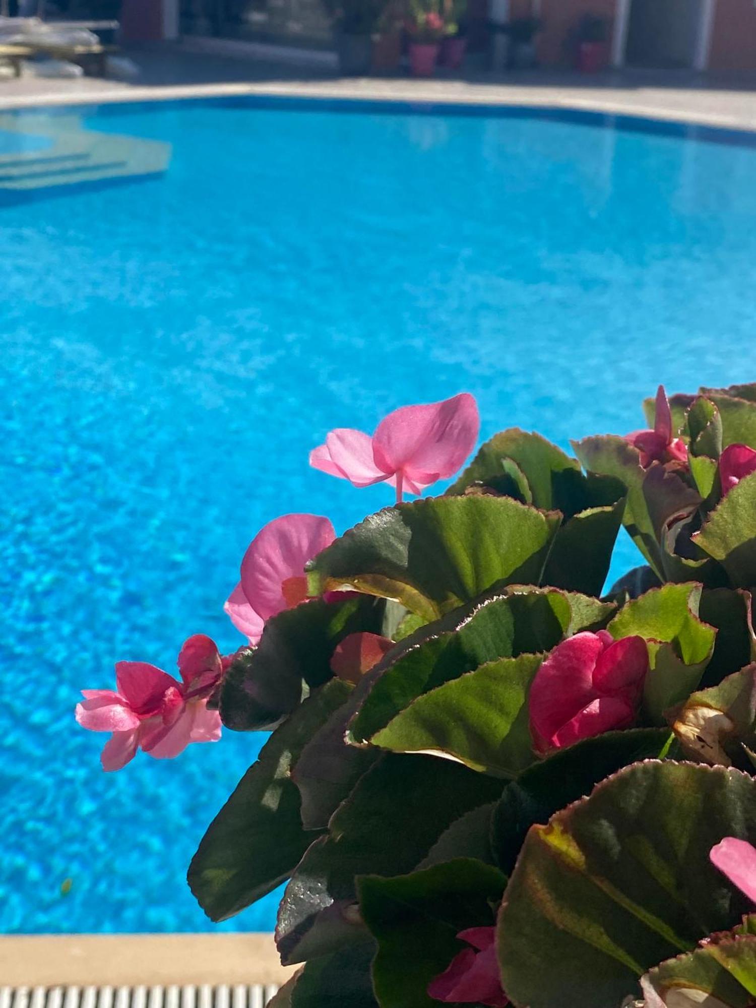 Paradiso Apartahotel